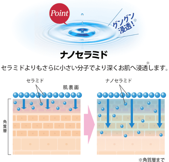 ナノセラミド