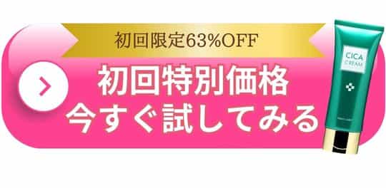 公式サイトでお特に購入