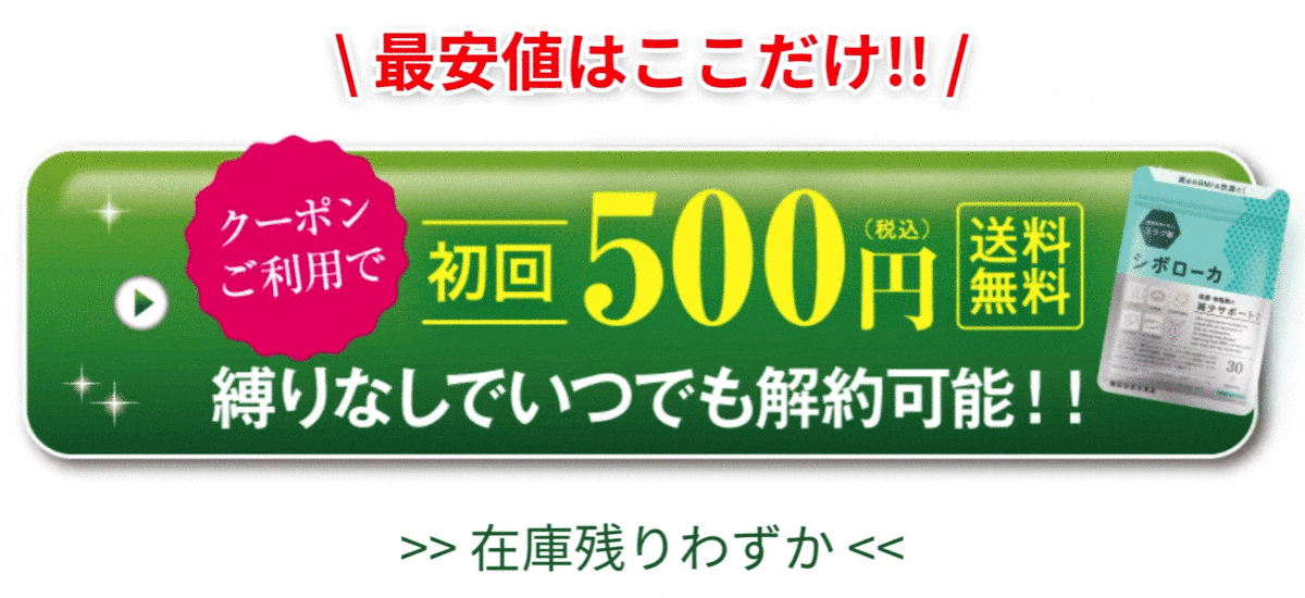 500円でお試ししたい方はコチラ